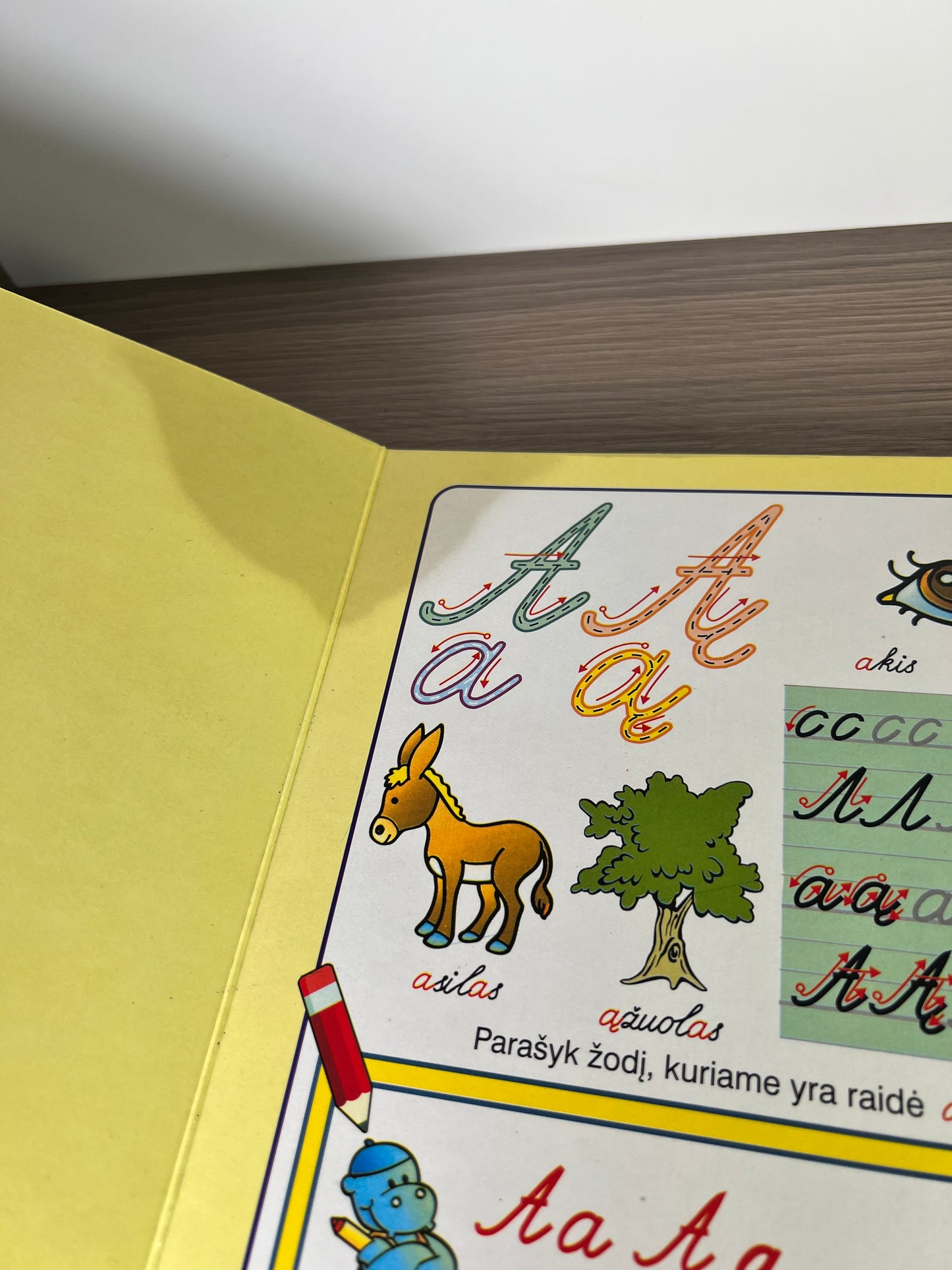 Knyga Stebuklingoji abėcėlė