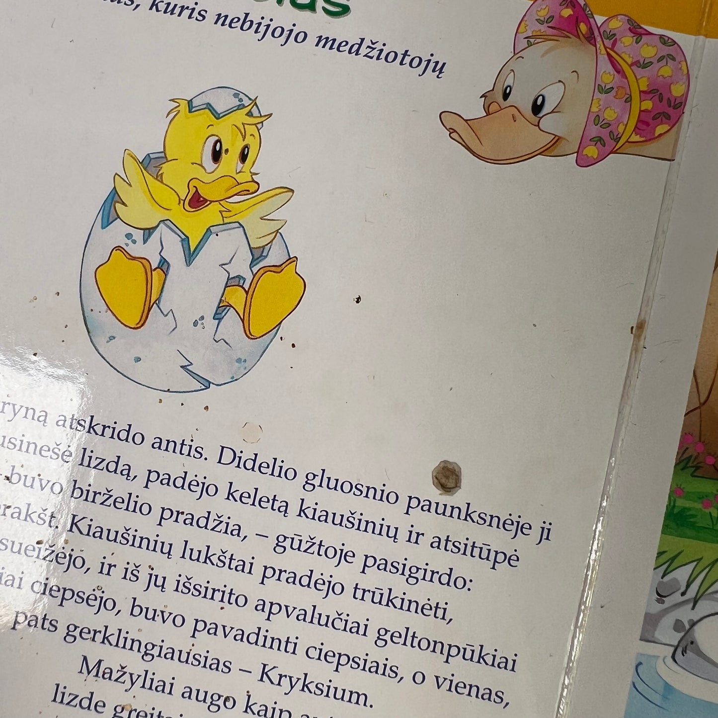 Knyga Brinkis ir kryksius ir stebuklinga skrybėlė