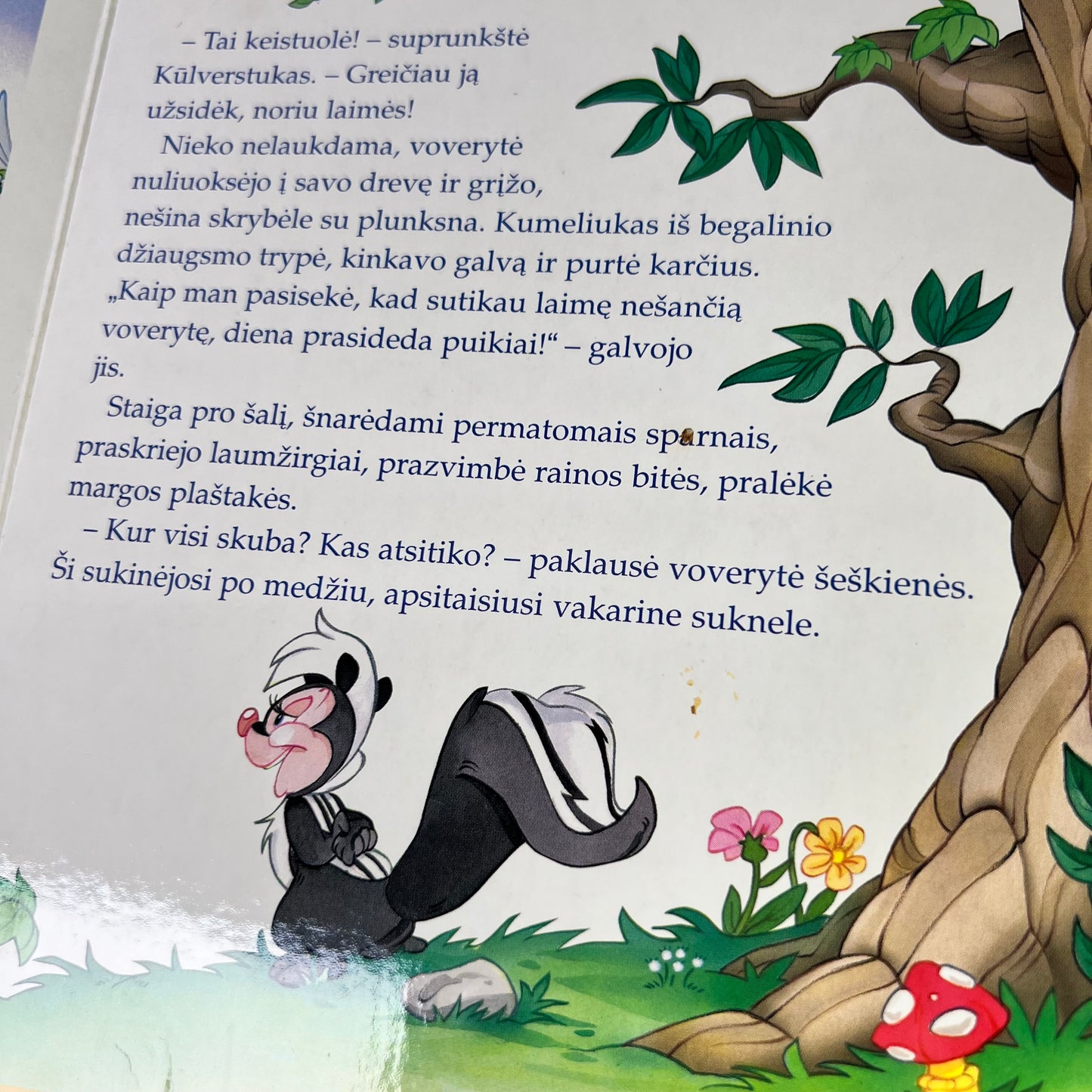 Knyga Brinkis ir kryksius ir stebuklinga skrybėlė