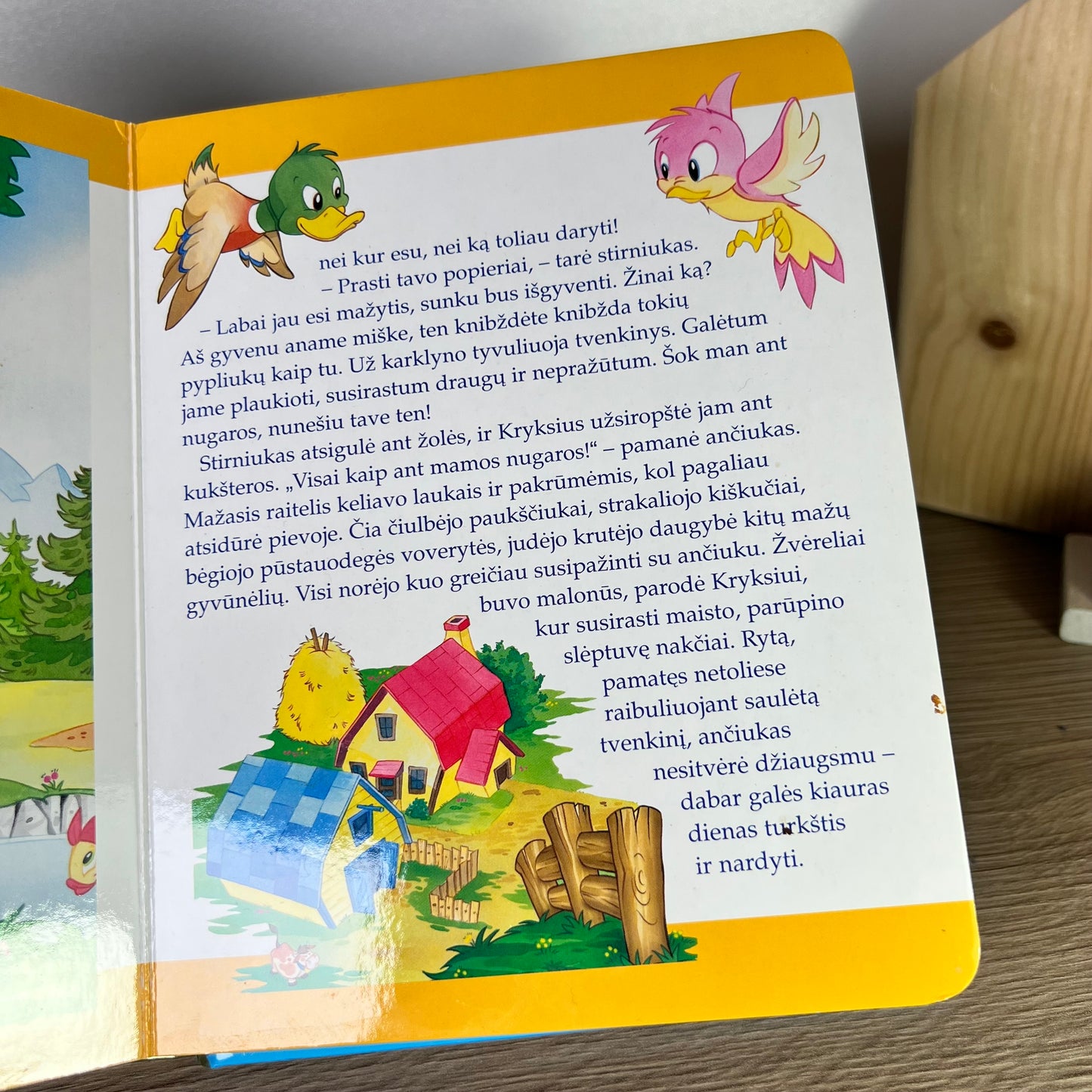 Knyga Brinkis ir kryksius ir stebuklinga skrybėlė