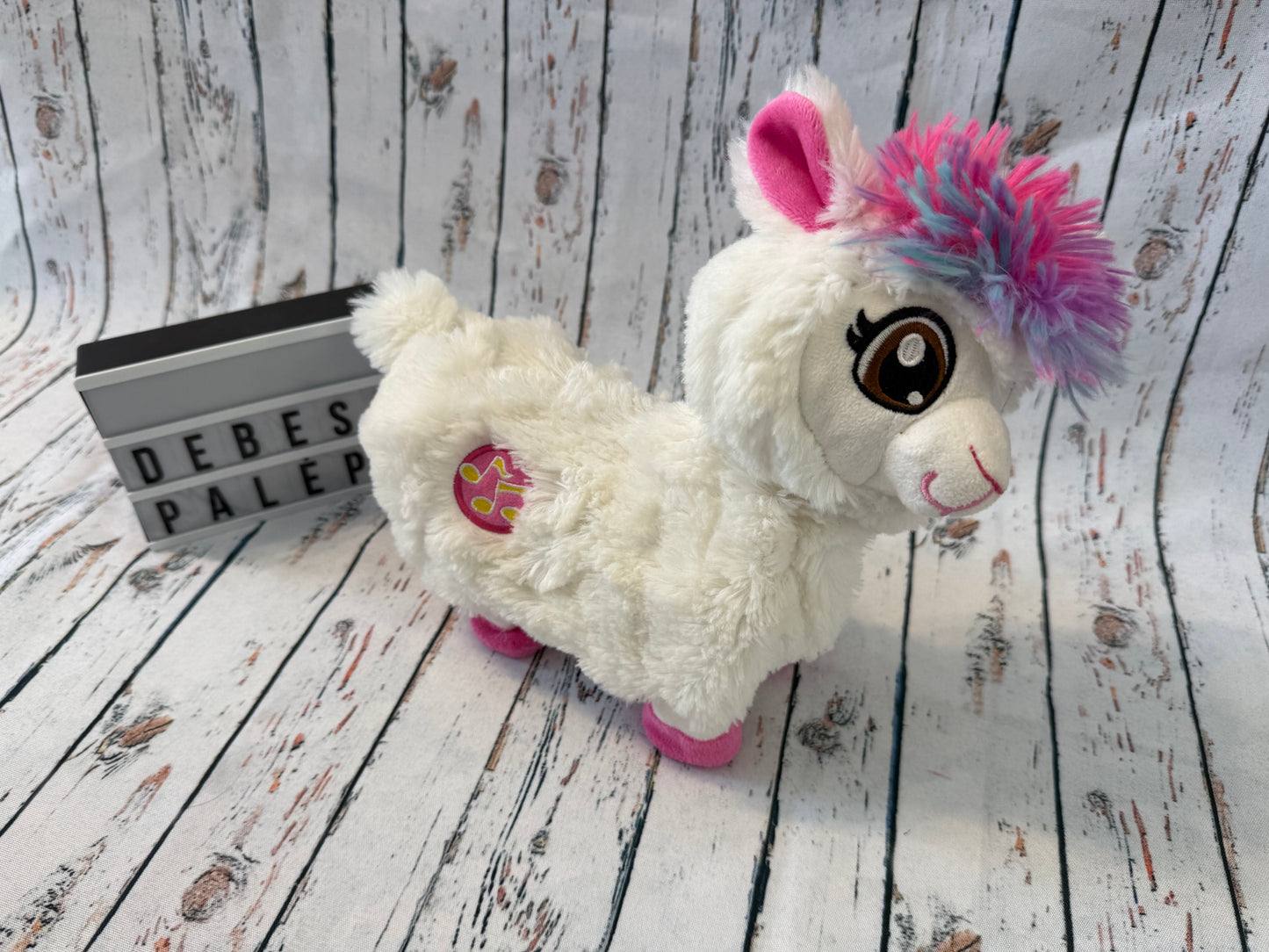 🦙🎶 Šokanti ir dainuojanti lama