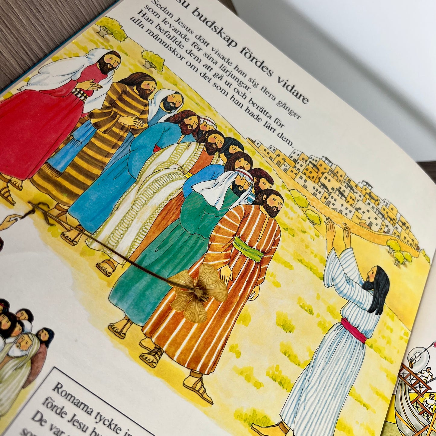 Vet du hur? Om Bibelns länder