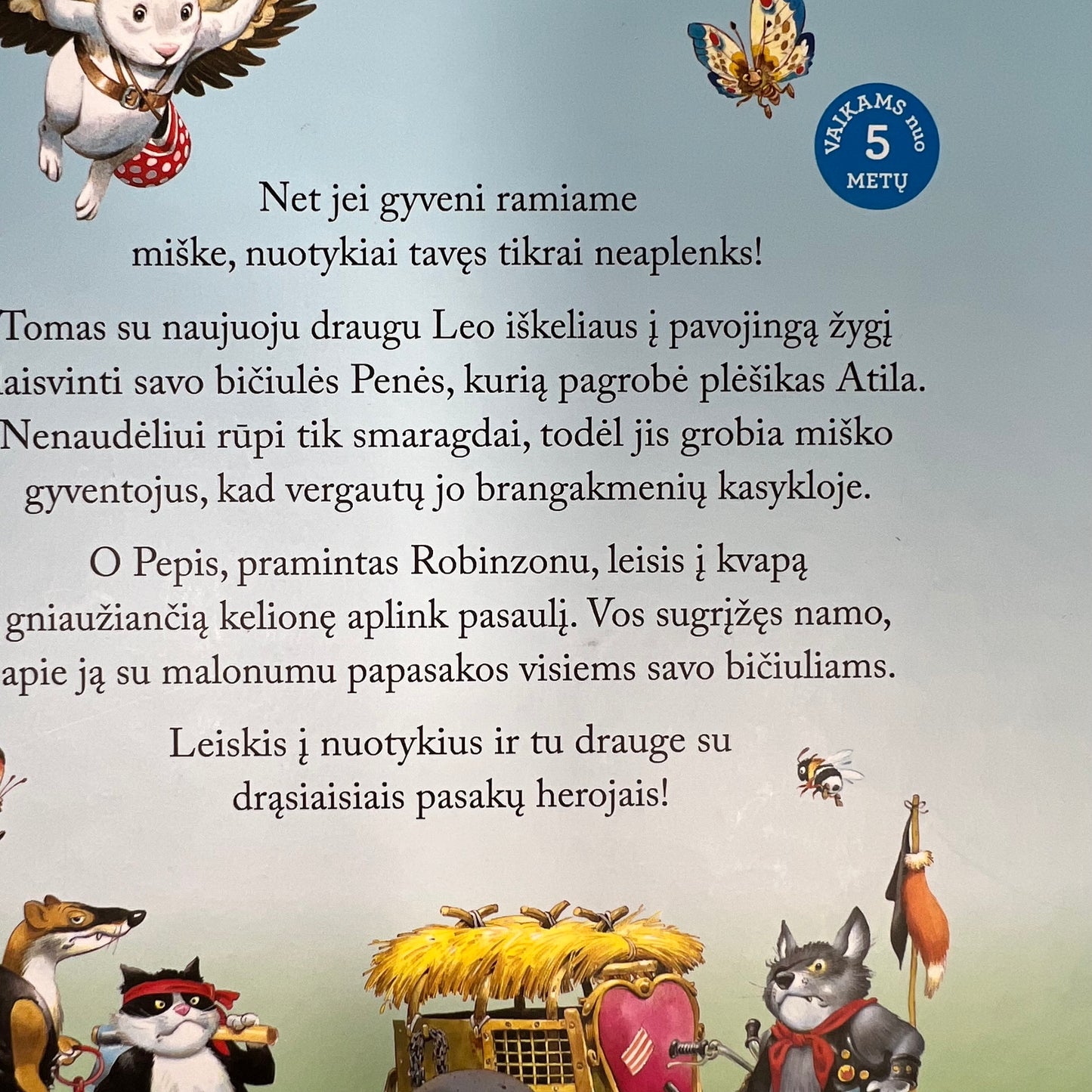 Knyga Didysis smaragdas Robinzono sugrįžimas