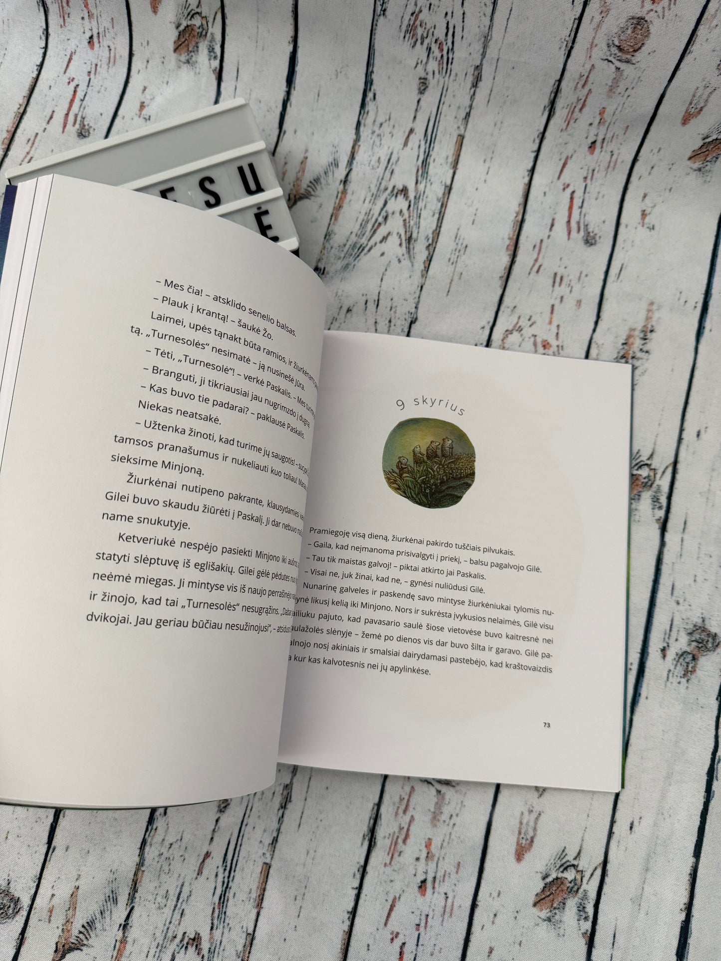 🐭📖 Žiurkėnytė Gilė ir jos pirmoji žvaigždė