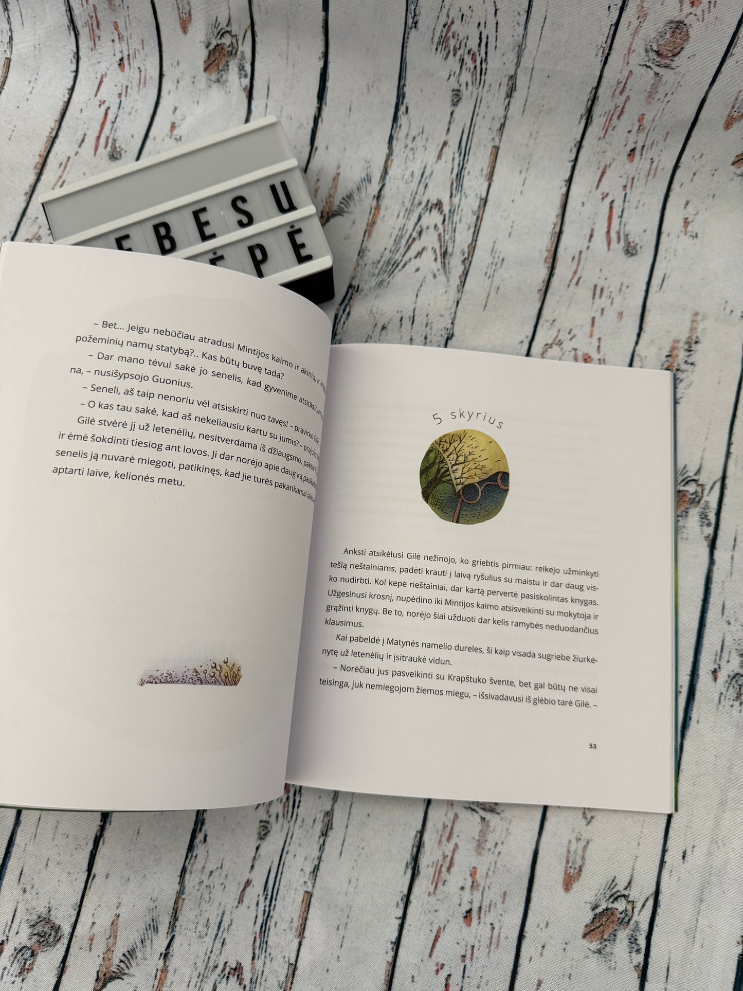 🐭📖 Žiurkėnytė Gilė ir jos pirmoji žvaigždė