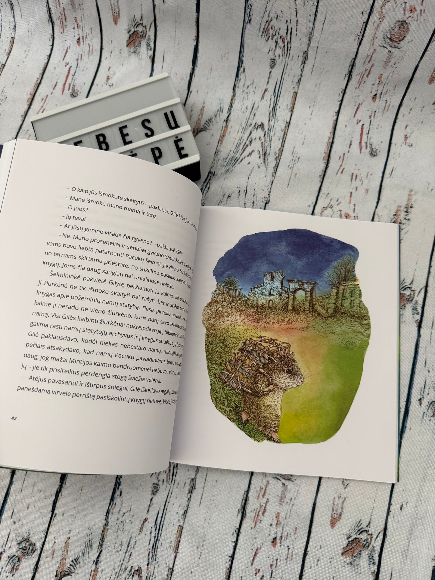 🐭📖 Žiurkėnytė Gilė ir jos pirmoji žvaigždė