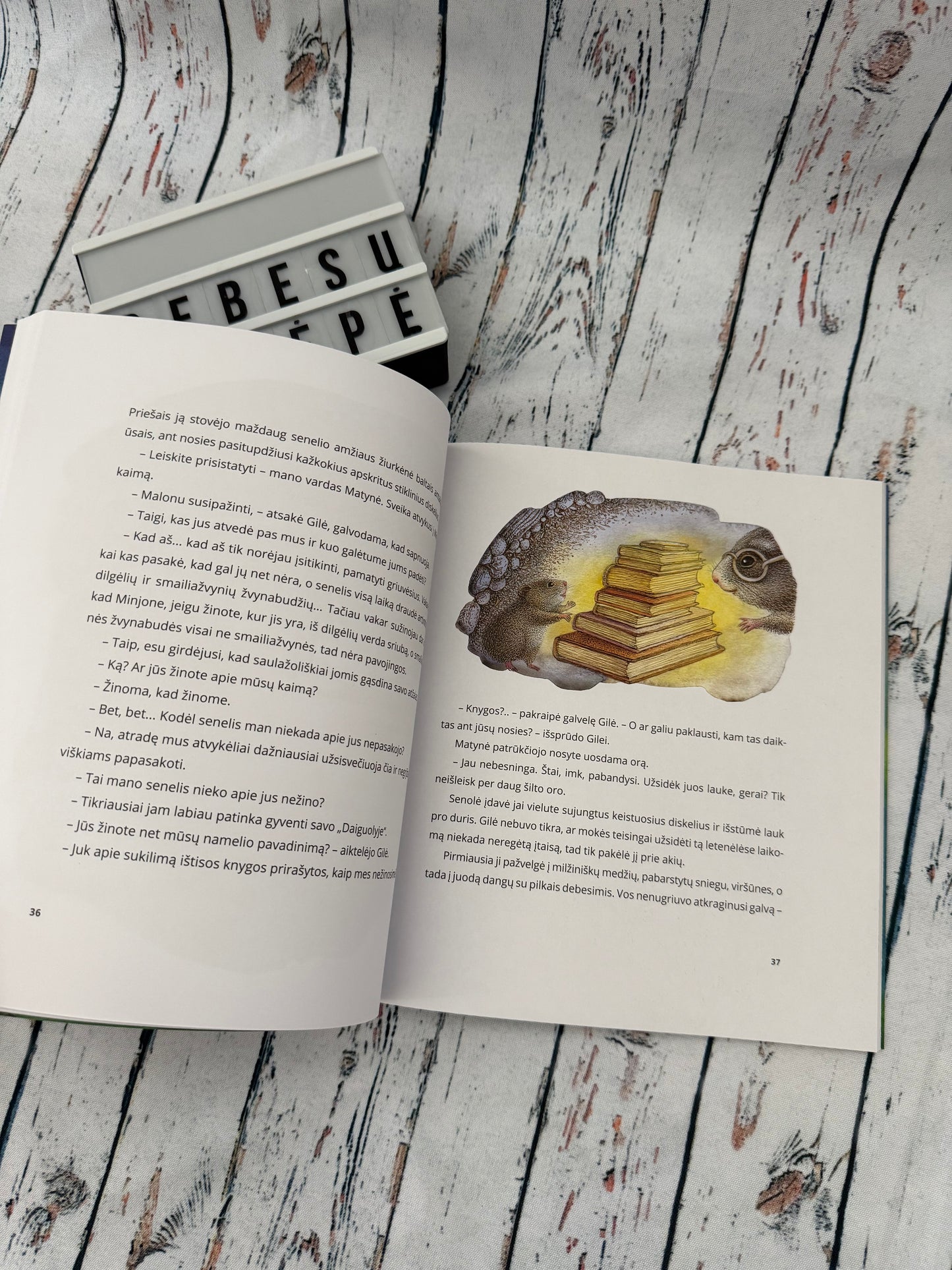 🐭📖 Žiurkėnytė Gilė ir jos pirmoji žvaigždė