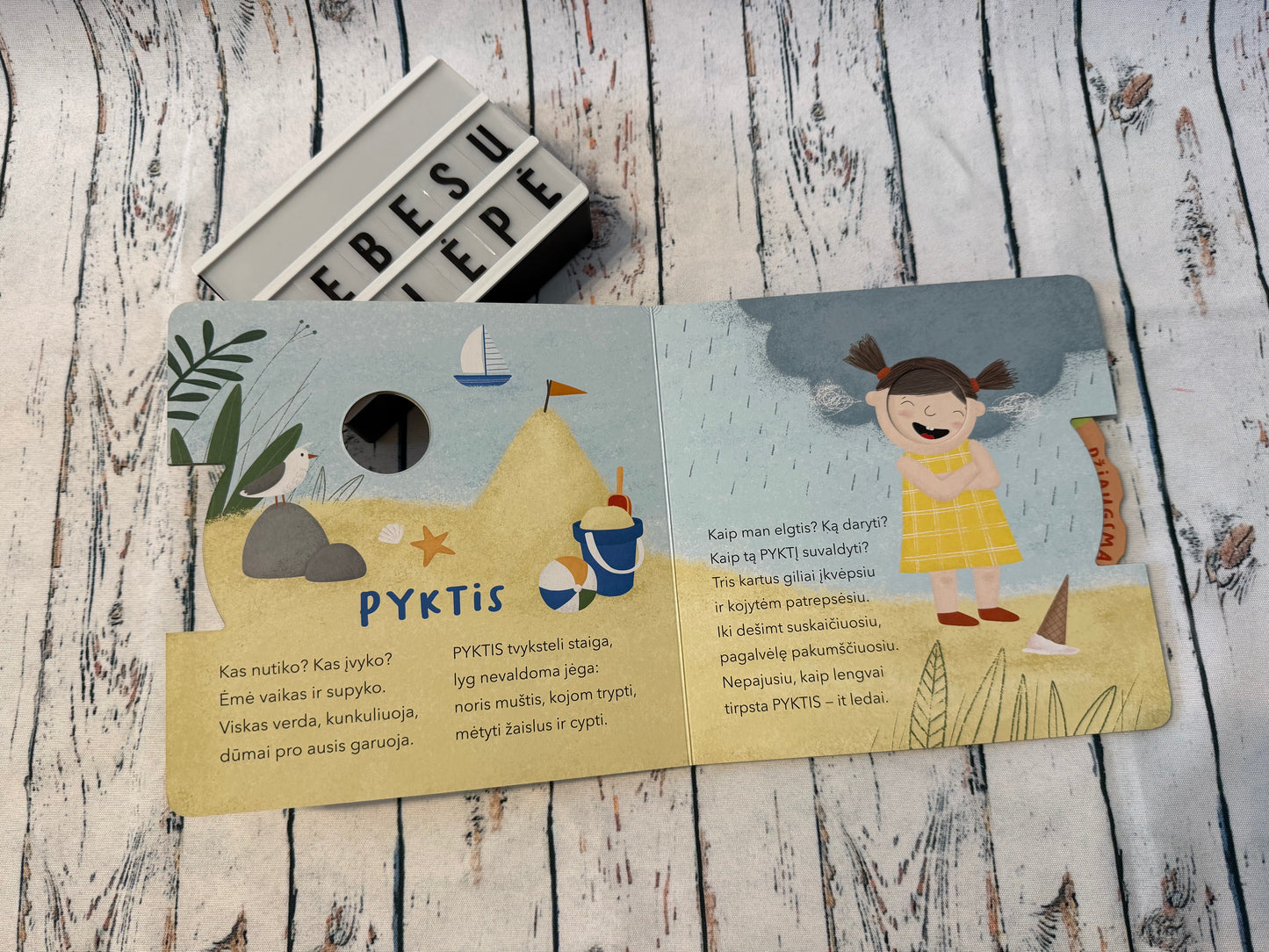 🌼 Knyga jausmų karuselė 😊