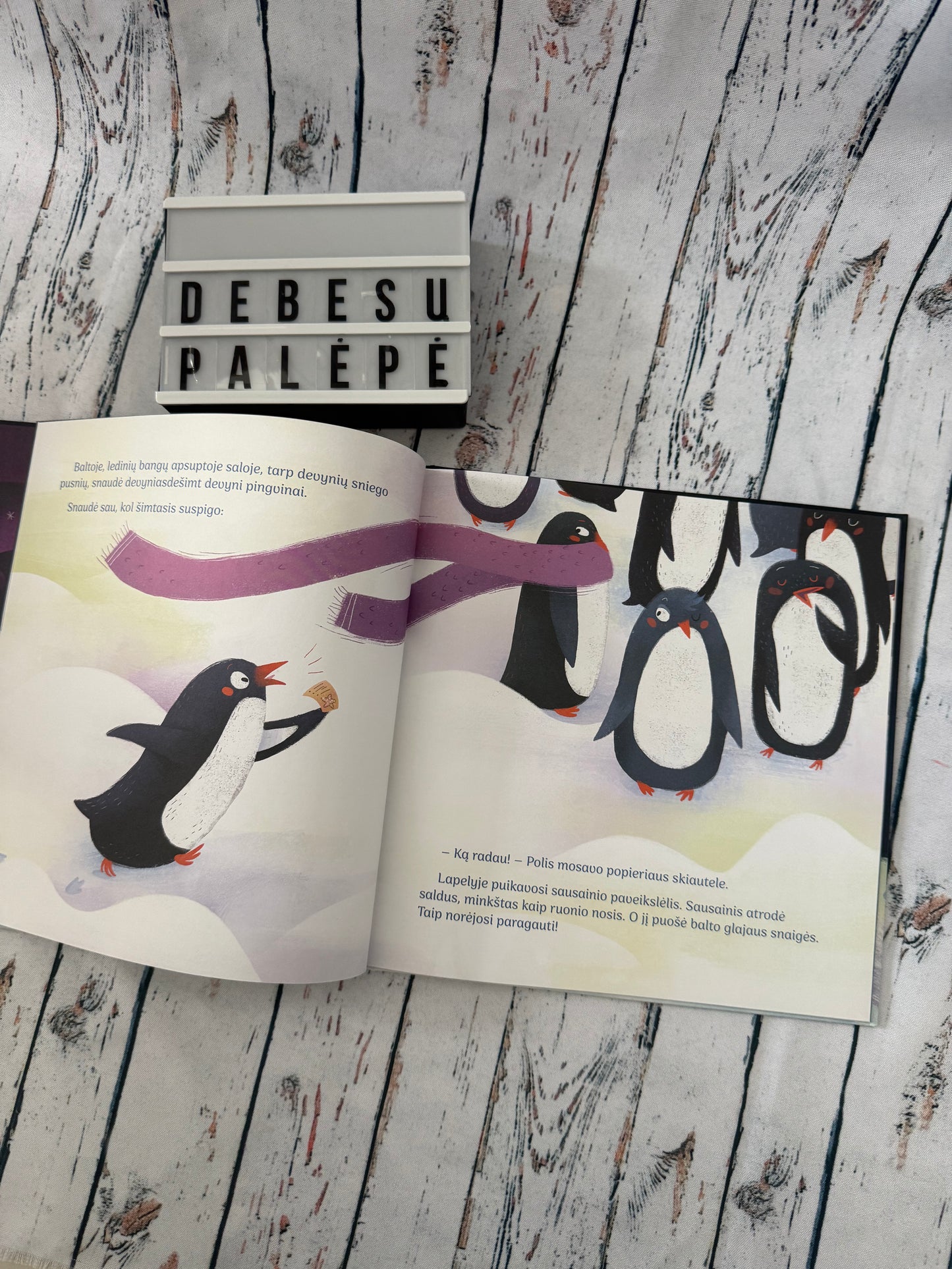🐧❄️ Knyga Sniego sausainis