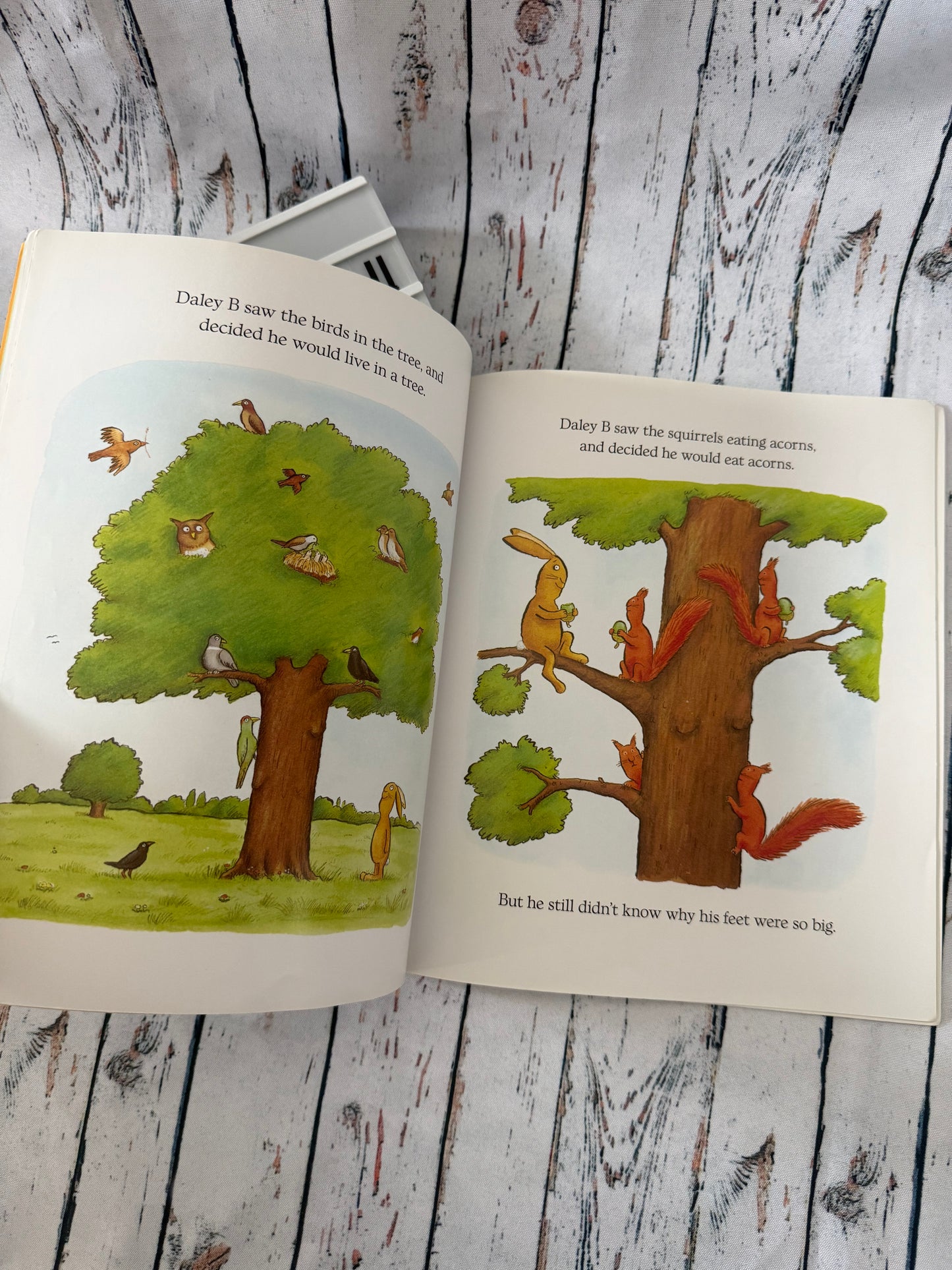 🐰📖 Angliška vaikiška knyga You're a Hero, Daley B!