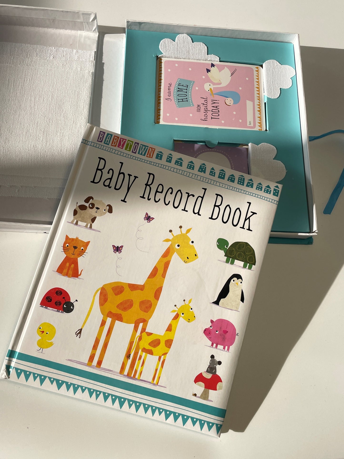 Pirmieji kūdikio metai