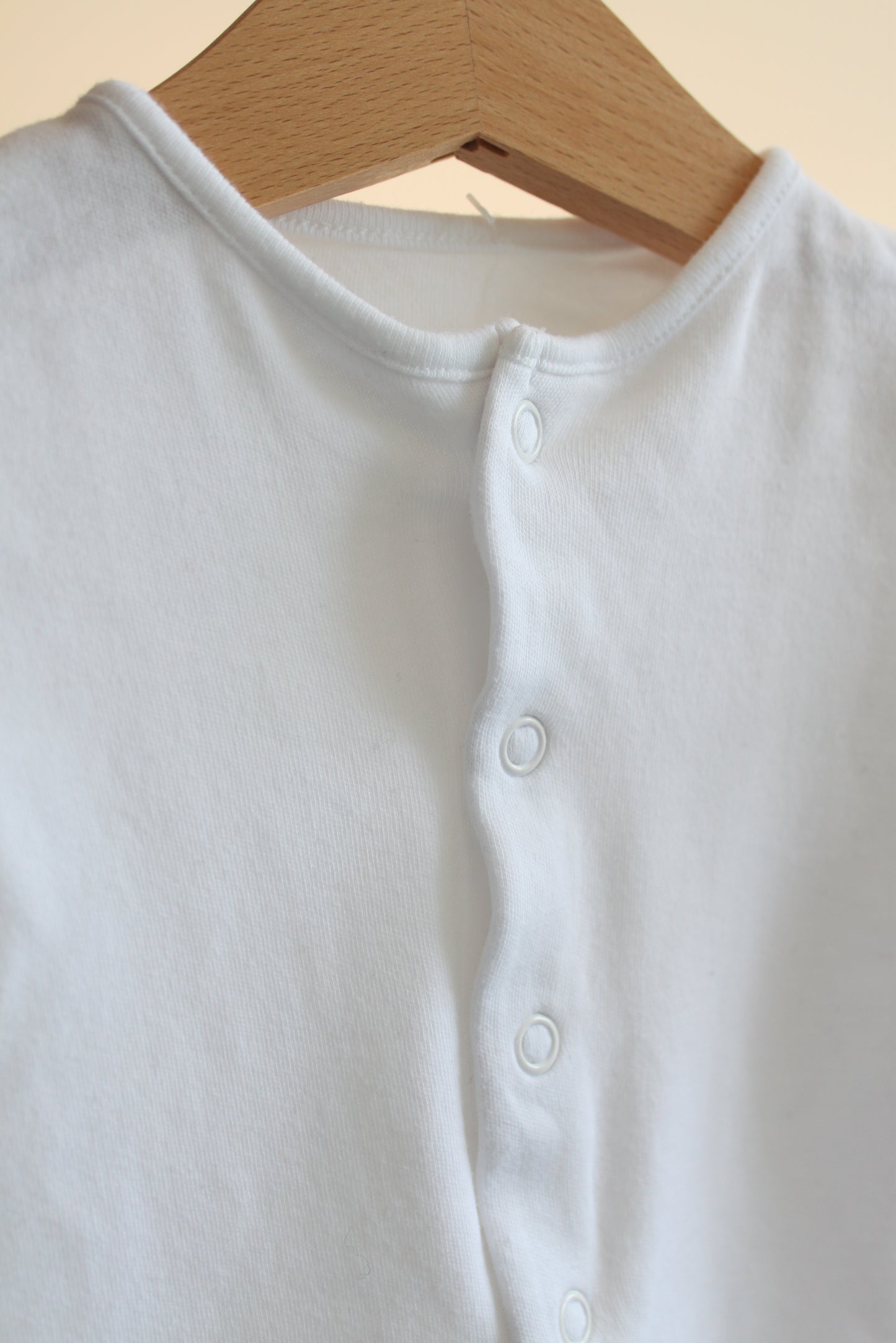 Šliaužtinukas St. Bernard