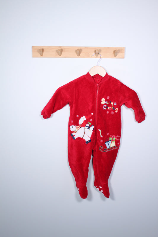 Šliaužtinukas St. Bernard