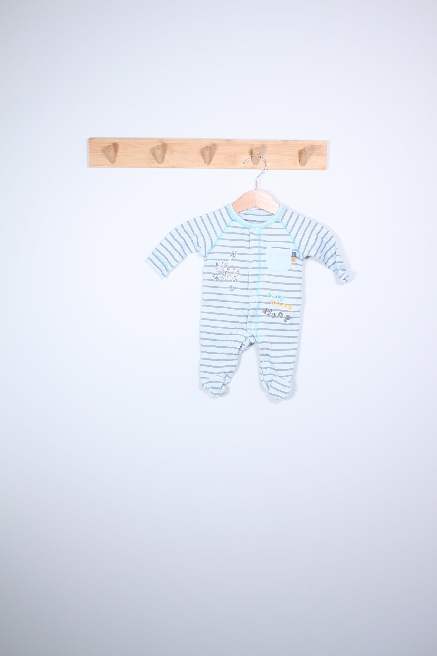 Šliaužtinukas St.Bernard